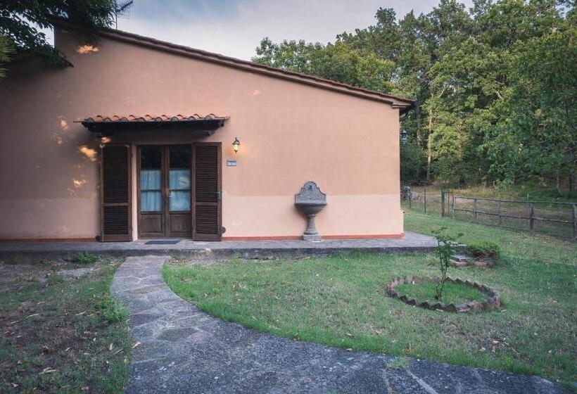 ホテル Nature & Relax In Tuscany Pagiano 2