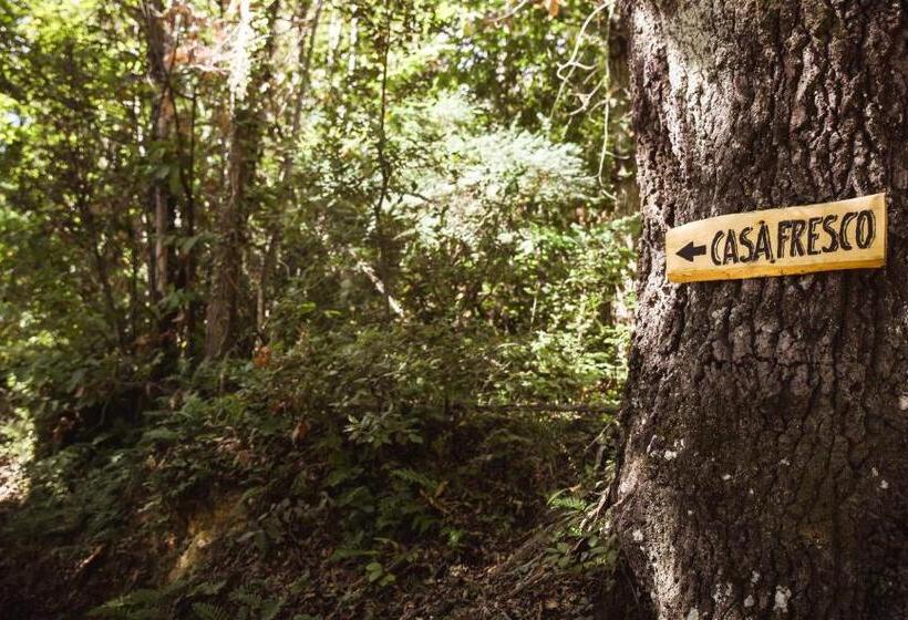 ホテル Nature & Relax In Tuscany Pagiano 2