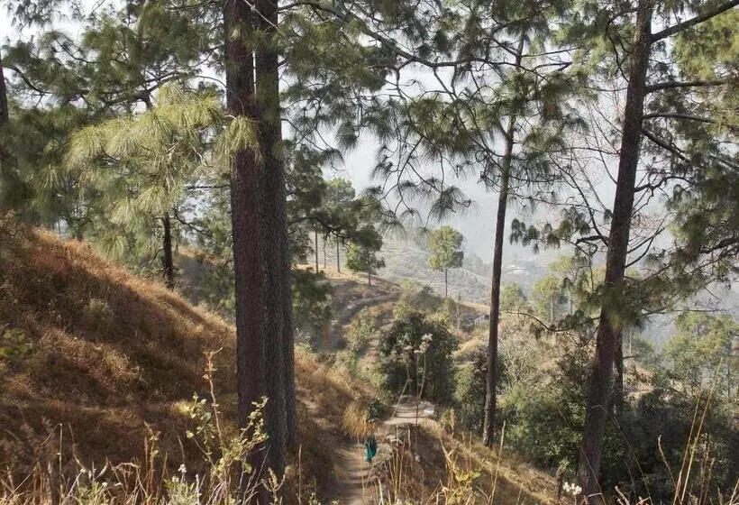 Majatalo Van Mahal Himalayas