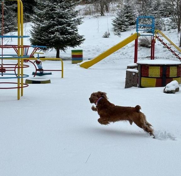 Aparthotel Raikov Ski Lodge