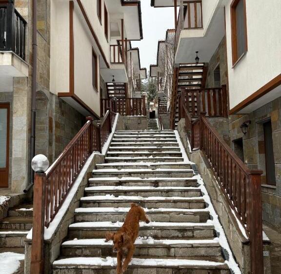 Aparthotel Raikov Ski Lodge