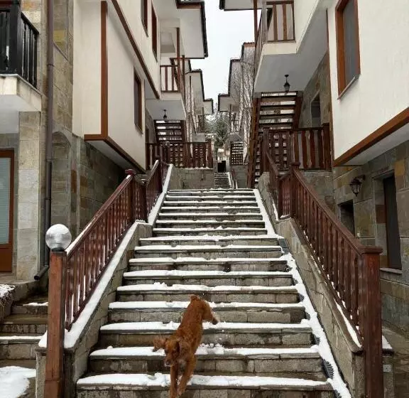 Aparthotel Raikov Ski Lodge