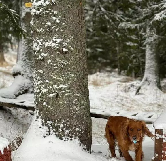 Aparthotel Raikov Ski Lodge