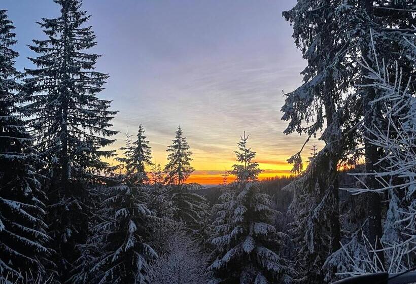 Aparthotel Raikov Ski Lodge