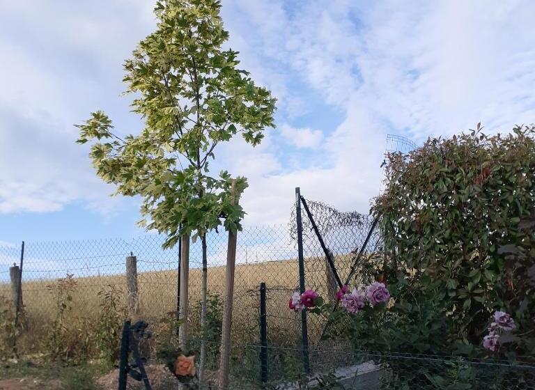 ベッドアンドブレックファースト Chambres D Hôtes Au P Tit Bonheur Campagnard