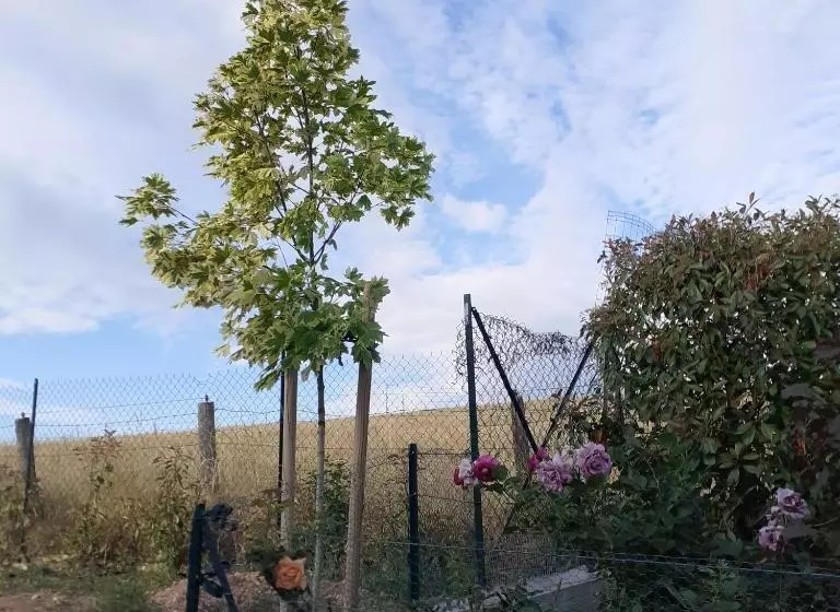 Aamiaismajoitus (B&B) Chambres D Hôtes Au P Tit Bonheur Campagnard