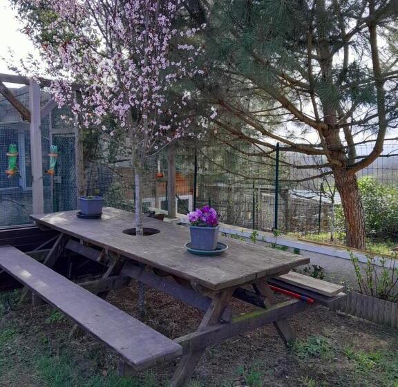 ベッドアンドブレックファースト Chambres D Hôtes Au P Tit Bonheur Campagnard