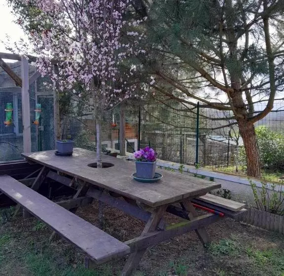 Aamiaismajoitus (B&B) Chambres D Hôtes Au P Tit Bonheur Campagnard