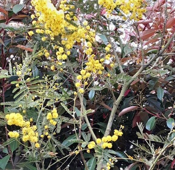 مبيت وإفطار Chambres D Hôtes Au P Tit Bonheur Campagnard