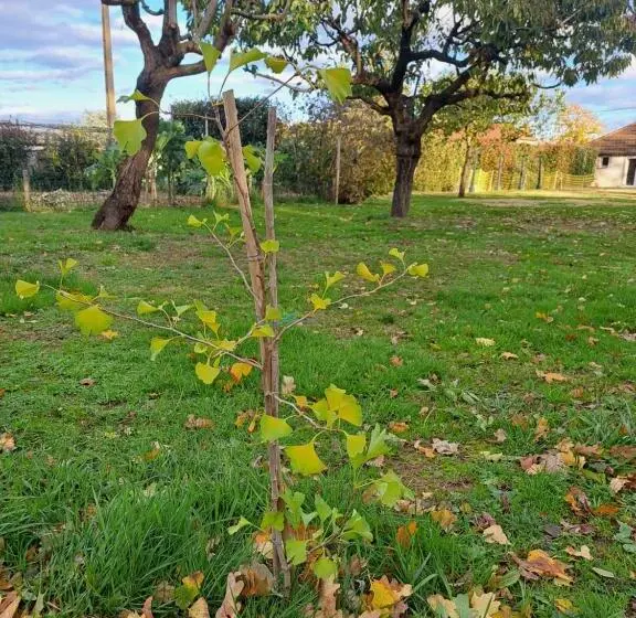 Aamiaismajoitus (B&B) Le Chemin Des Bérands Chambres D Hôtes Renaison