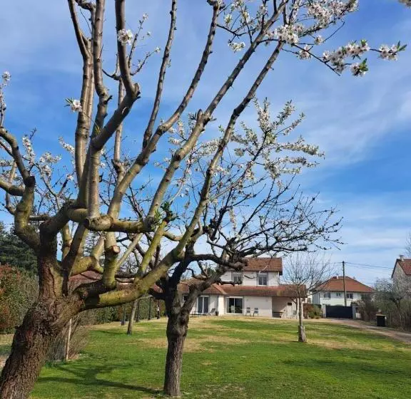 Aamiaismajoitus (B&B) Le Chemin Des Bérands Chambres D Hôtes Renaison