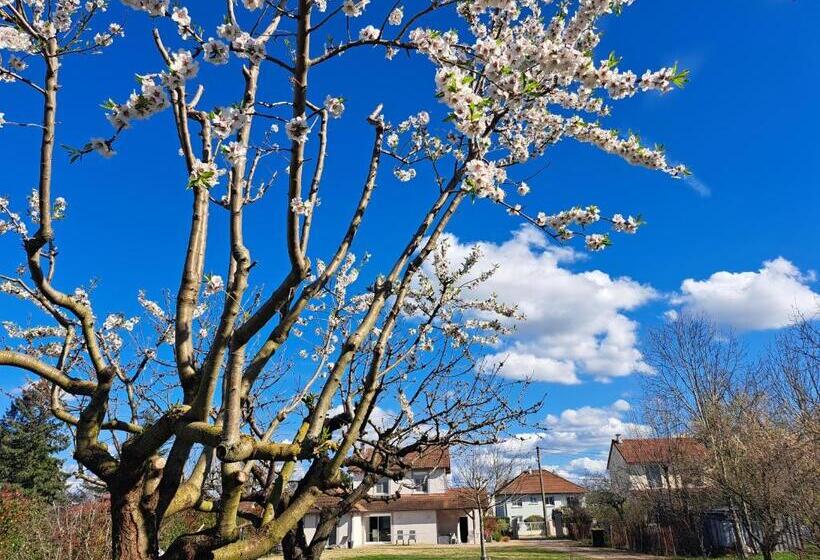 צימר Le Chemin Des Bérands Chambres D Hôtes Renaison