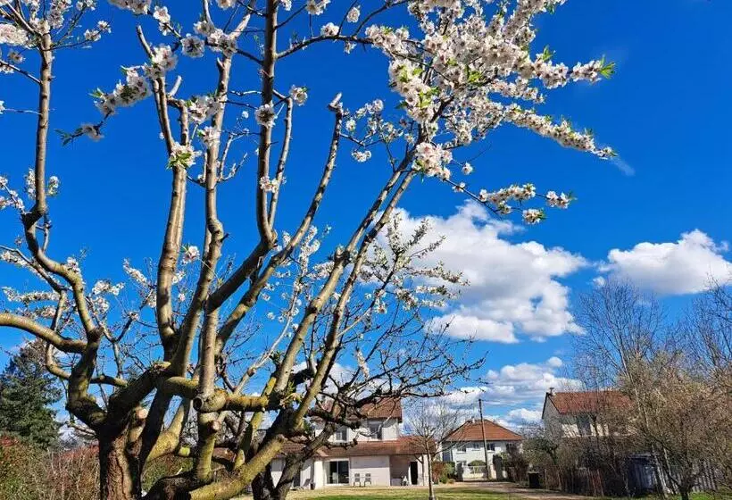 Aamiaismajoitus (B&B) Le Chemin Des Bérands Chambres D Hôtes Renaison