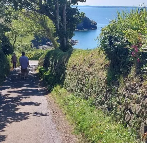 ベッドアンドブレックファースト Private Suite At Llanddinog House Near Solva