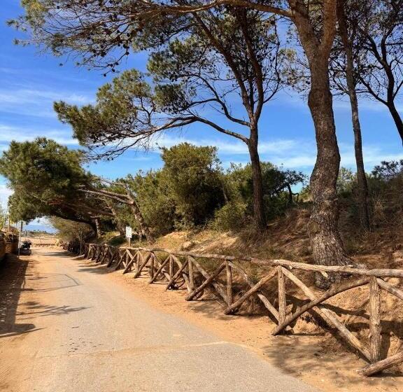 تختخواب و صبحانه Villa Mercè Empúries