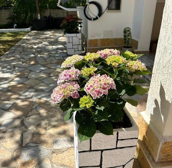 בית מלון כפרי Clarissa