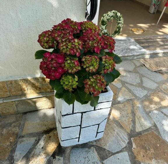 בית מלון כפרי Clarissa