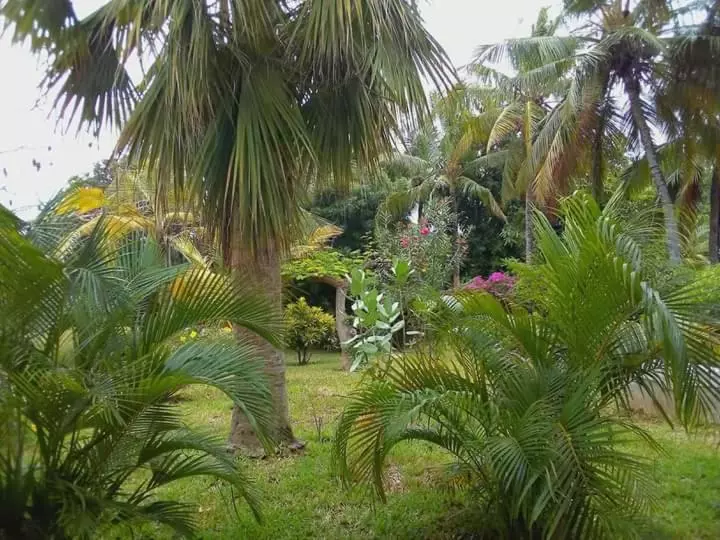 پانسیون Mwezi Nyota