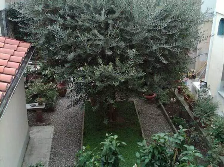 B & B Il Bacchino Prato