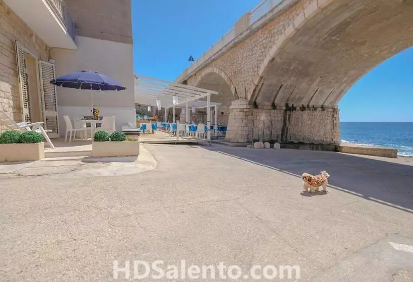 Le Pativite Luxury Apartments By Hdsalento