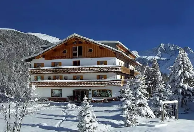 Hotelli Alpenhof