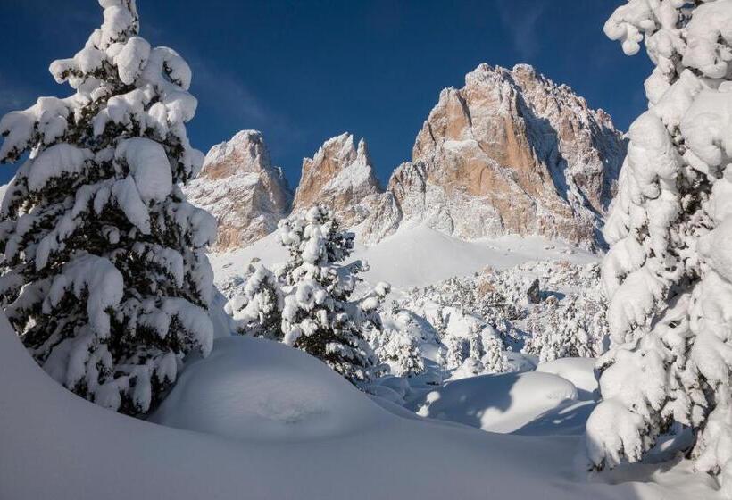 בית מלון כפרי Chalet Sas Morin