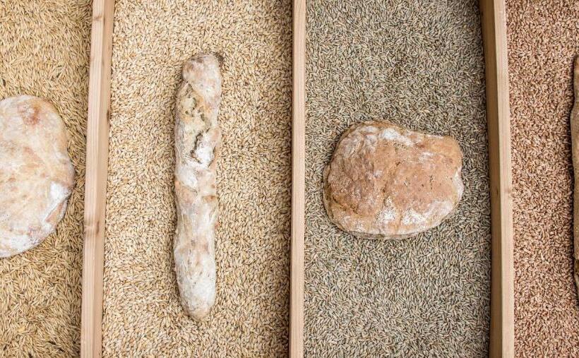 Отель Edelweiss