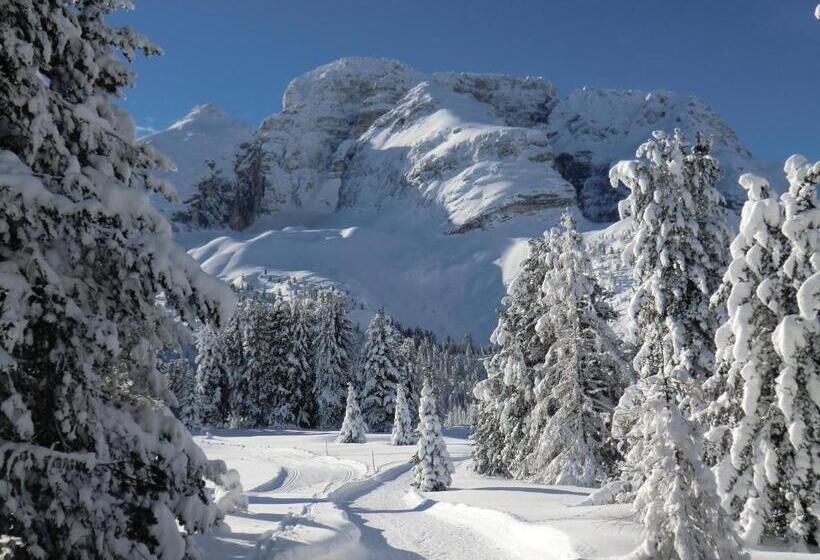 Отель Edelweiss