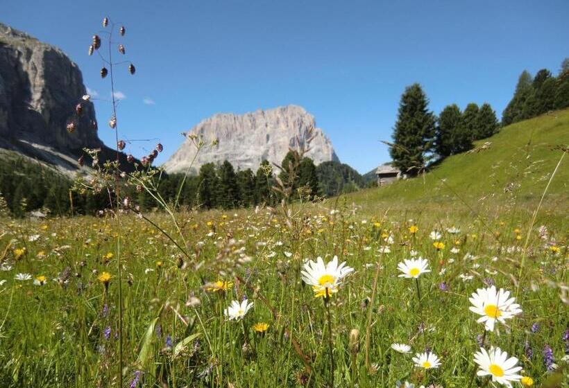 Отель Edelweiss