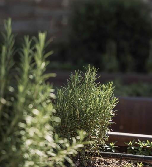 هتل Gasthof Kohlern 1130 M