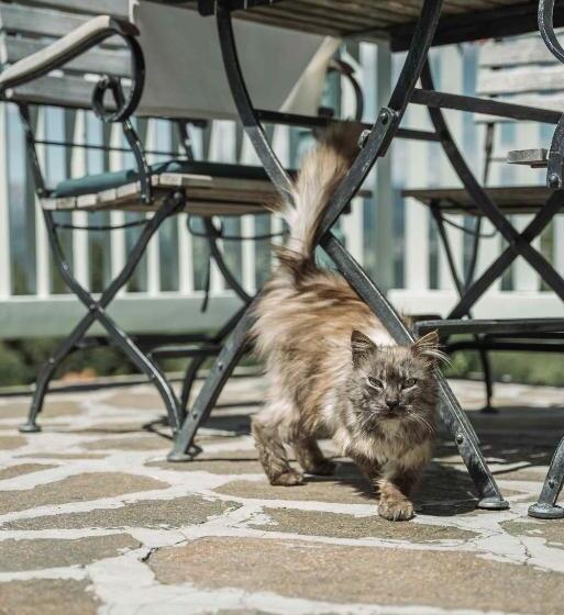 هتل Gasthof Kohlern 1130 M