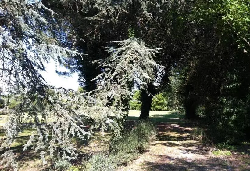 Hotelli Villa Carrer