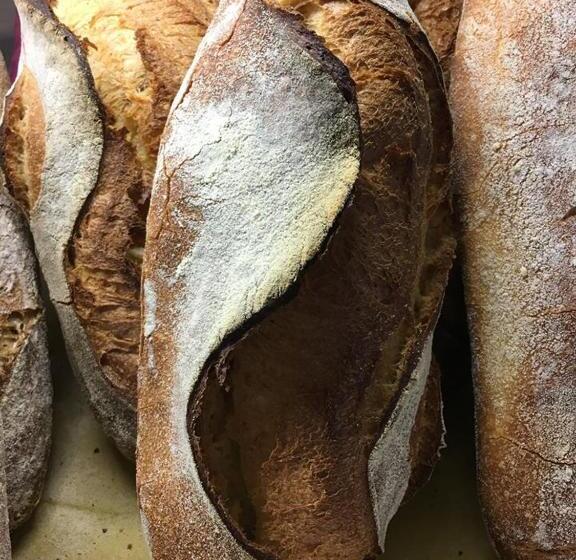 Ostia Antica Suite B&b