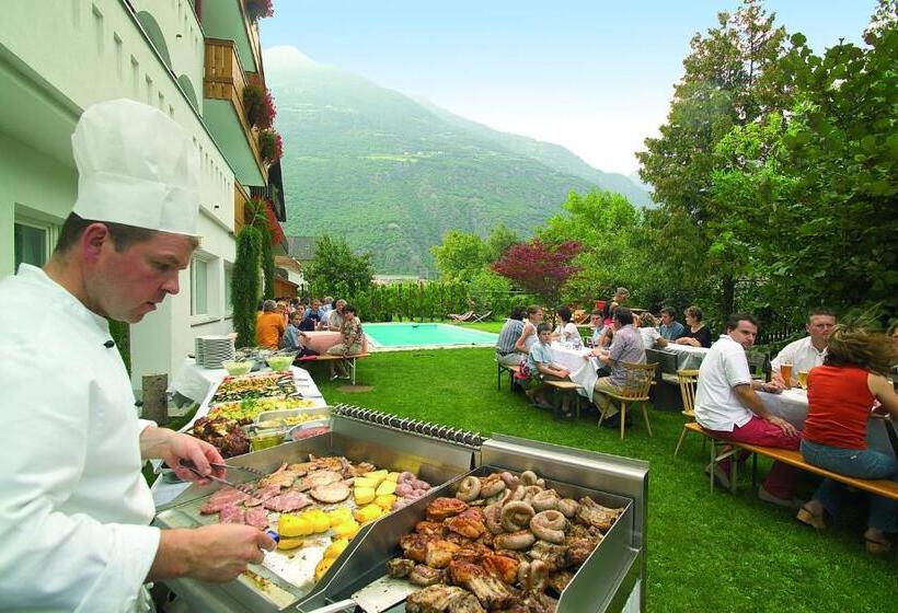 Parkhotel Plauserhof