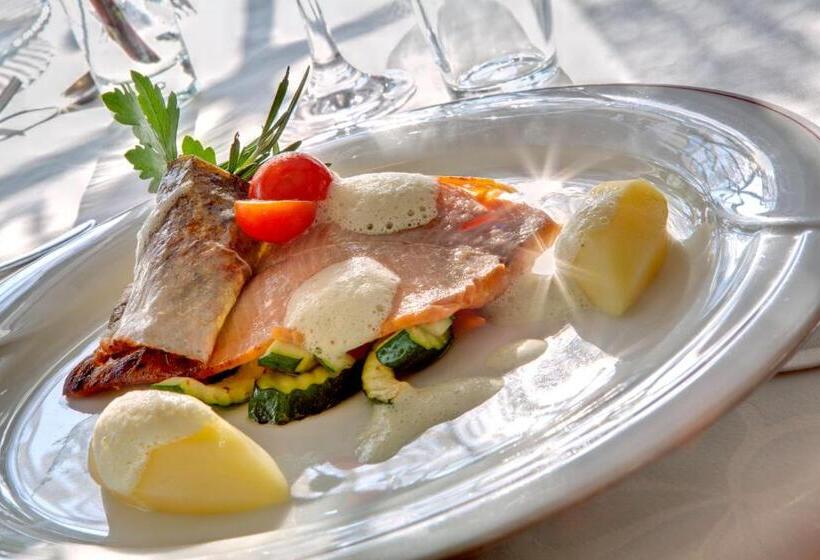 Parkhotel Plauserhof