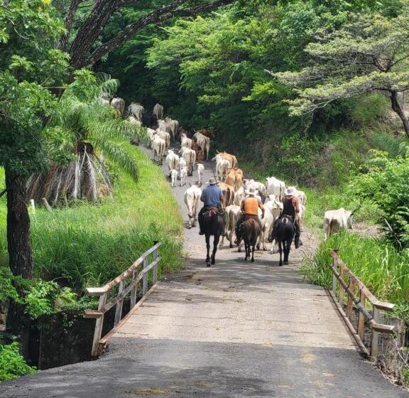 צימר Hacienda En Los Volcanes