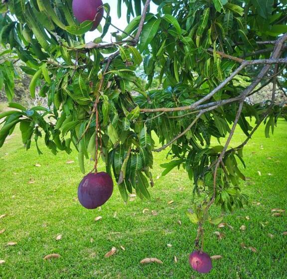 צימר Hacienda En Los Volcanes