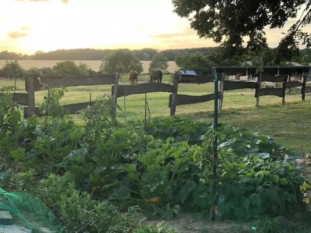 ベッドアンドブレックファースト Le Spa Est Dans Le Pré