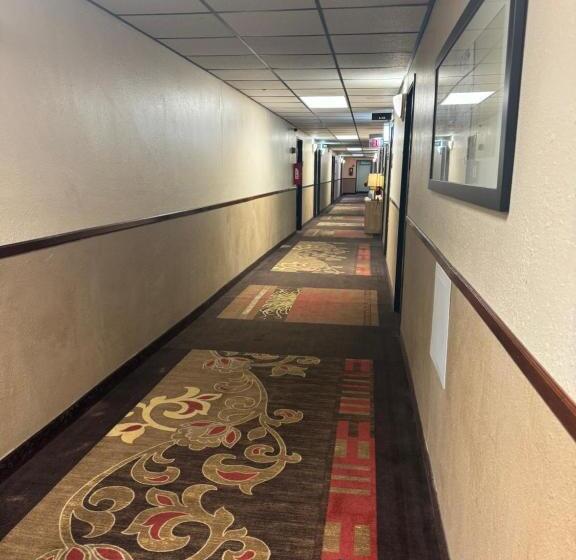 فندق Mitchell Inn