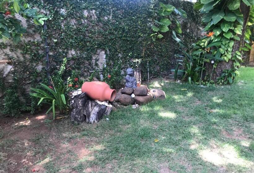 Hotel Pousada Saruê Praia De Ponta Negra Natal Rn