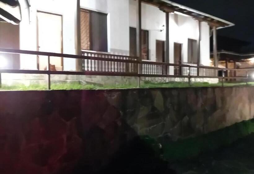 Отель Yankee Bohemia