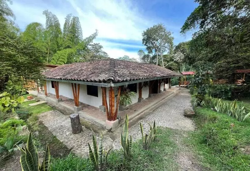 Majestic Coffee Hotel And Restaurant Tierradentro