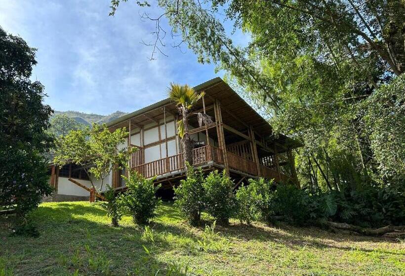 Majestic Coffee Hotel And Restaurant Tierradentro