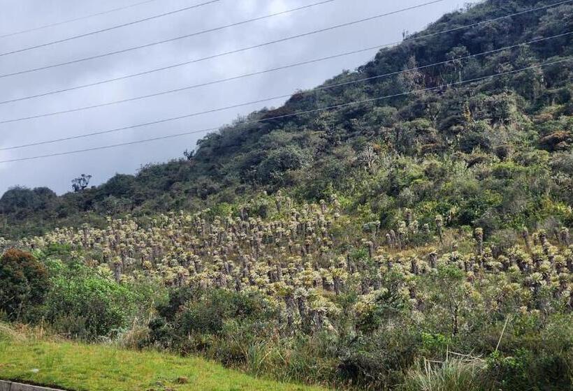 Majestic Coffee Hotel And Restaurant Tierradentro