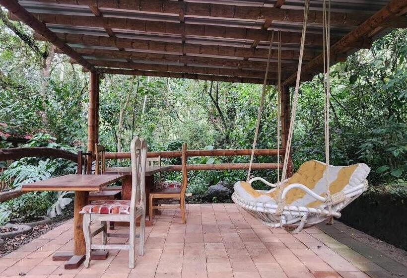 Majestic Coffee Hotel And Restaurant Tierradentro