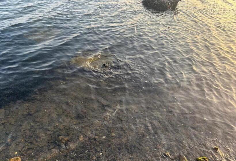 منتجع Janz Eden Bay