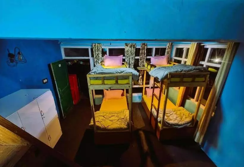 Vibe Hostel