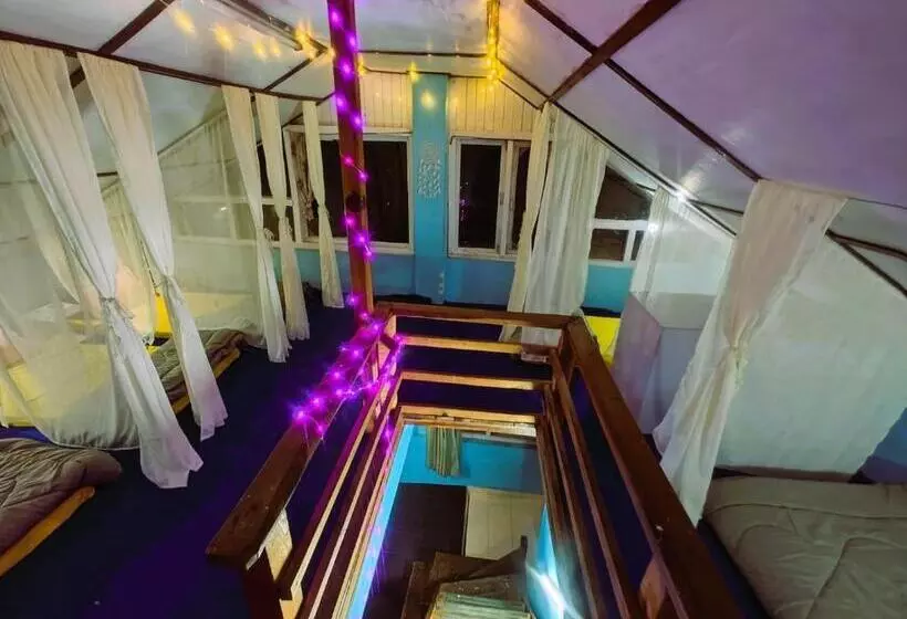Vibe Hostel
