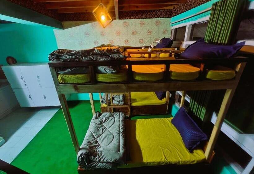 Vibe Hostel