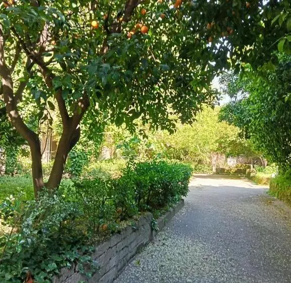 تختخواب و صبحانه A Casa Di Giuseppa Natura Bio